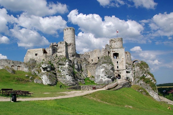 ORLE GNIAZDA