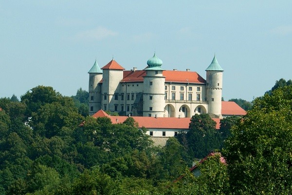 ZAMEK WIŚNICZ