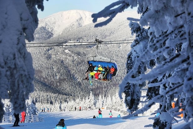 Obóz narciarsko- snowboardowy